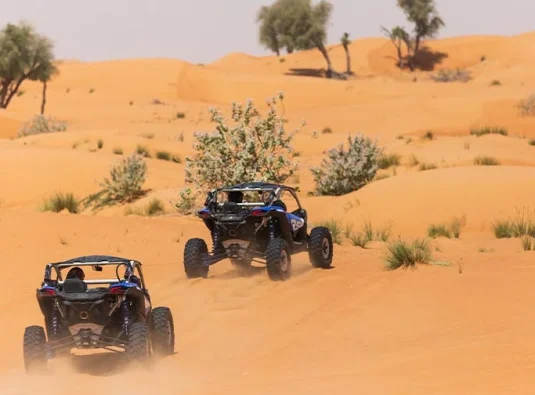 1 Seater Dune Buggy Ride Dubai