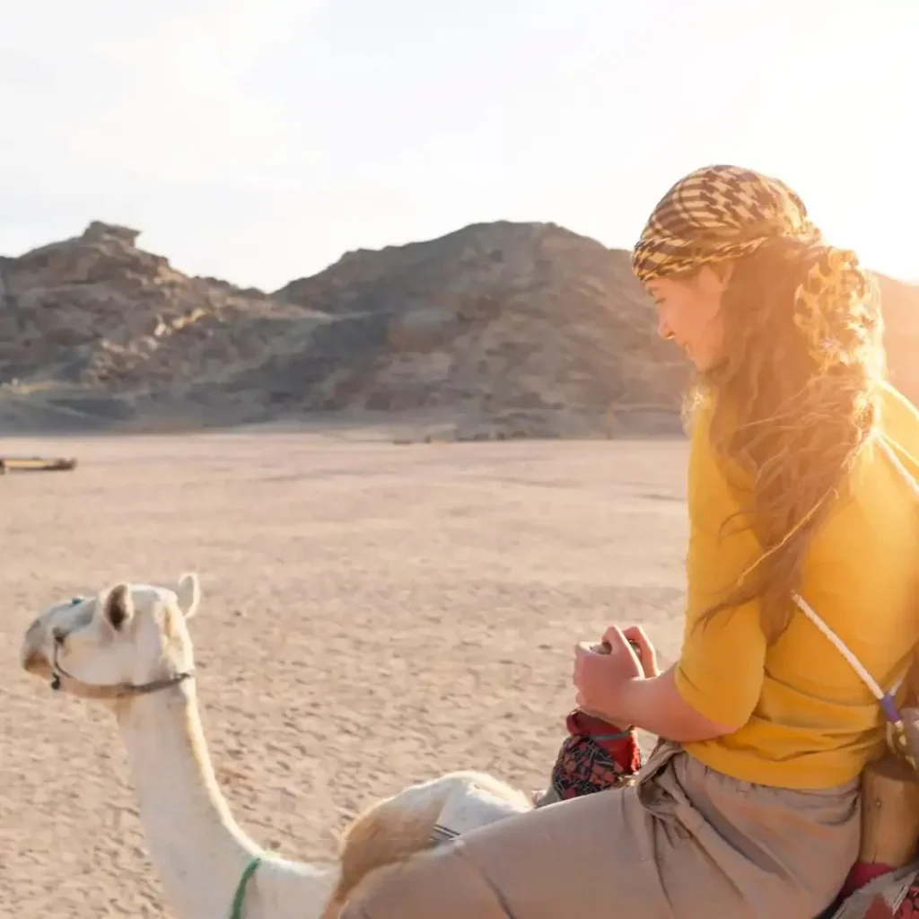 vip desert safari dubai
